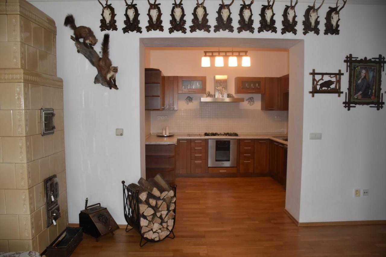 Lovecky Apartman Na Namesti Ve Frenstate Pod Radhostem Френштат-под-Радгоштем Экстерьер фото